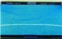 NEON BLUE/BLACK TRIM - NET ONLY