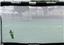 WHITE NET/BLACK TRIM - NET ONLY