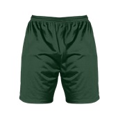 Alleson Youth 6" Inseam Mesh Shorts w/ Outside Drawstring X566PY