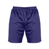 Alleson Youth 6" Inseam Mesh Shorts w/ Outside Drawstring X566PY