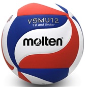 AAU Youth Volleyball