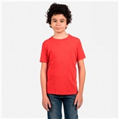 Next Level Youth Tri-Blend T-Shirt 6310 VINTAGE RED Primary