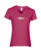 Epic Ladies Pride is Everyday Ally Rainbow LGBTQIA V-Neck Graphic T-Shirts