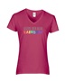 Epic Ladies Pride Secure Men Wear Rainbow LGBTQIA V-Neck Graphic T-Shirts