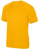 Adult/Youth  Raglan Sleeve Longer Length & Bigger Chest T Shirt