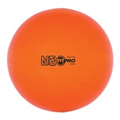 Fitpro Training & Exercise Ball 65CM EACH