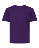 Allpro Youth Pro-Lock Performance T-Shirt 48000Y PURPLE Primary