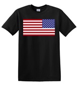 Epic Adult/Youth USA Flag Bright Flipped Mascot Team Cotton Graphic T-Shirts