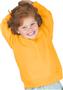 LAT Sportswear Toddler Fleece Sweatshirts