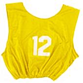 Champion Numbered Heavyweight Pinnies (DOZENS) Champion Numbered Heavyweight Pinnies (DOZENS)