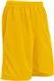 Champro 9" Adult 7" Youth Diesel Poly Tricot Shorts with Liner