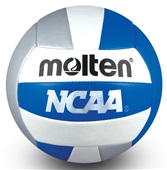 5.5" Mini Volleyballs V200