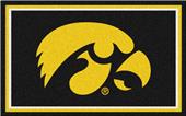 Fan Mats NCAA University of Iowa 4x6 Rug