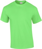 Gildan Adult Ultra Cotton T-Shirt MINT GREEN Primary