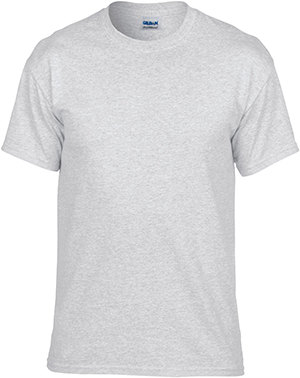 Gildan DryBlend Adult/Youth T-Shirts ASH GREY 