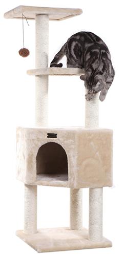 Cat tree for kittens best sale