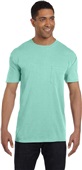 Comfort Colors Adult Heavyweight RS Pocket T-Shirt ISLAND REEF Pocket