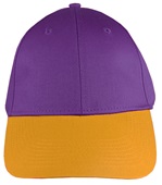 Snap Back Adjustable Youth 6-Panel Low-Profile Baseball Cap (Purple,Black,Red,Silver) PURPLE/ GOLD Front