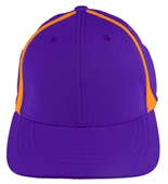  Adult/Youth Flexfit, Pre-curved bill, Low Profile Baseball/Trucker Caps PURPLE/GOLD Front