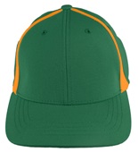  Adult/Youth Flexfit, Pre-curved bill, Low Profile Baseball/Trucker Caps DARK GREEN/GOLD Front