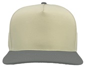 Zapped Patriot Canvas Medium Profile Snapback Baseball Caps VINTAGE WHITE/ GREY Front