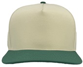 Zapped Patriot Canvas Medium Profile Snapback Baseball Caps VINTAGE WHITE/ MASTERS GREEN Front