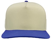Zapped Patriot Canvas Medium Profile Snapback Baseball Caps VINTAGE WHITE/ ROYAL BLUE Front