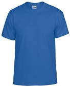 Gildan DryBlend G800 Adult G800B Youth T-Shirt ROYAL Front