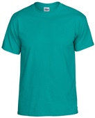 Gildan DryBlend G800 Adult G800B Youth T-Shirt JADE DOME Front
