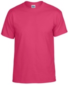 Gildan DryBlend G800 Adult G800B Youth T-Shirt HELICONIA Front